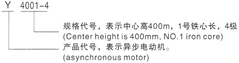 Yϵ(H355-1000)߉ஐ늙C늙C̖f(shu)