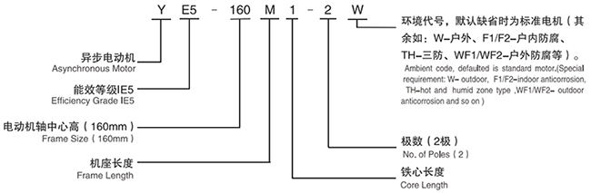YE5ϵиЧஐ늄(dng)C